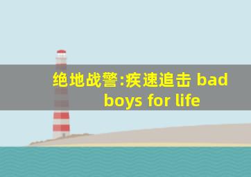 绝地战警:疾速追击 bad boys for life